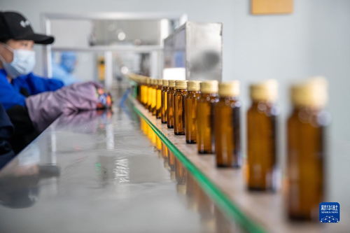 生態經濟助力中國林都轉型發展 技術服務驅動綠色崛起